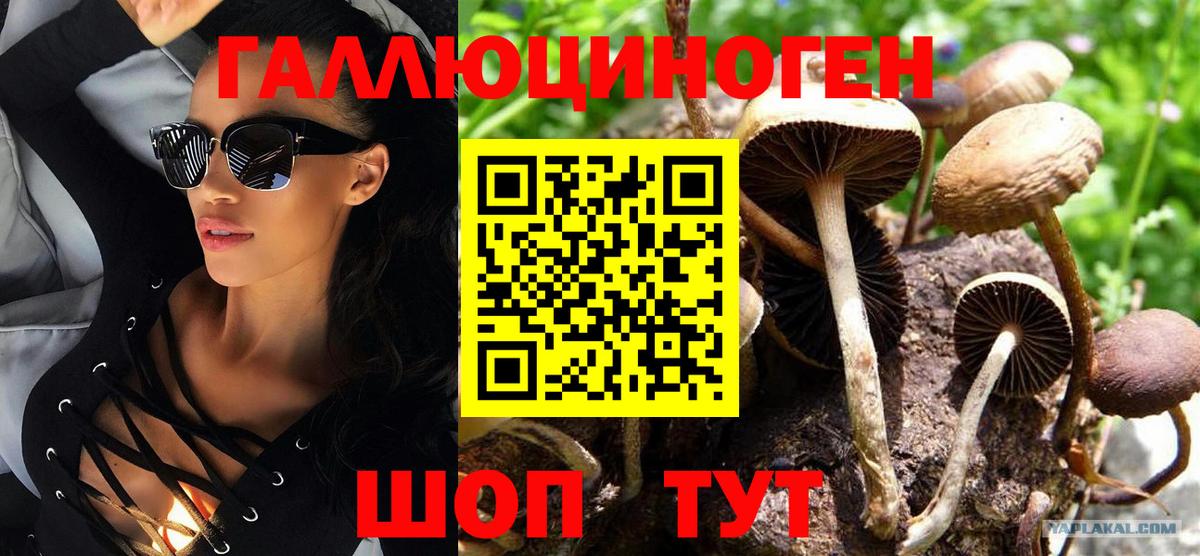 Галлюциногенные грибы Magic Shrooms Острогожск