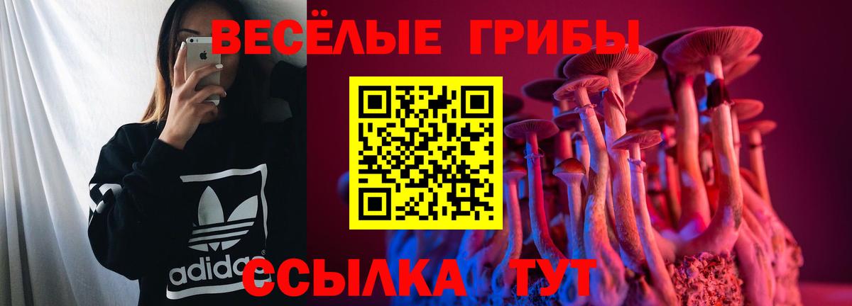 Галлюциногенные грибы Magic Shrooms  Вход с VPN  Острогожск 